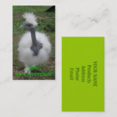 Carte De Visite Fille soyeuse de Turken (Devant / Derrière)