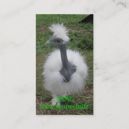 Carte De Visite Fille soyeuse de Turken (Devant)