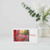 Carte De Visite Fireweed en automne (Debout devant)