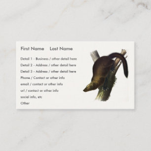 Carte De Visite Fisher (Martre de Pennant ou Fisher de Chat) par A