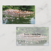 Carte De Visite flamant rose (Devant / Derrière)