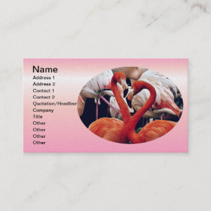 Carte De Visite Flamant rose rose dans la nature
