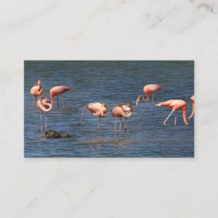 Carte De Visite Flamants roses