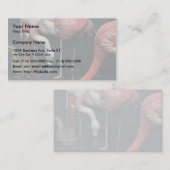 Carte De Visite Flamants roses (Devant / Derrière)