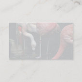 Carte De Visite Flamants roses (Dos)