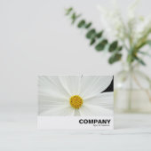 Carte De Visite Fleur Cosmos Blanc (Debout devant)