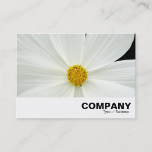 Carte De Visite Fleur Cosmos Blanc