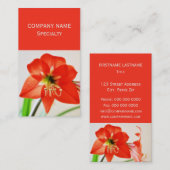 Carte De Visite Fleur d'Amaryllis rouge (Devant / Derrière)