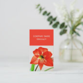 Carte De Visite Fleur d'Amaryllis rouge (Debout devant)