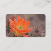 Carte De Visite Fleur de cactus orange (Dos)