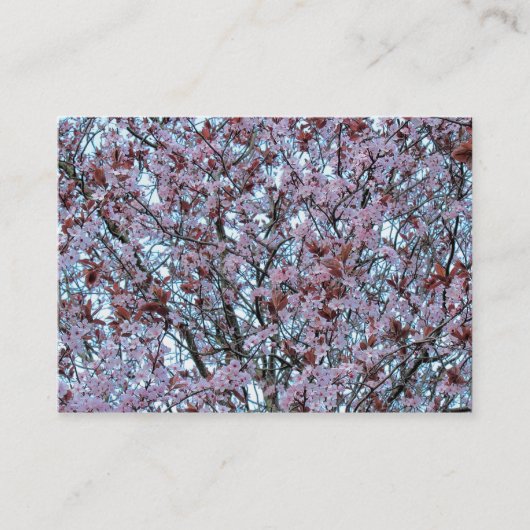 Carte De Visite Fleur de cerise (Devant)