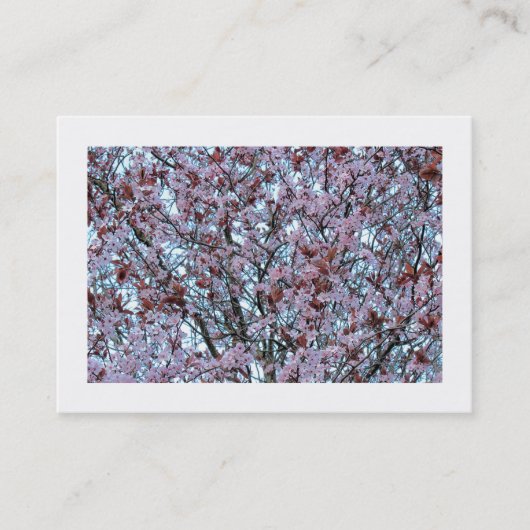 Carte De Visite Fleur de cerise (frontière) (Devant)