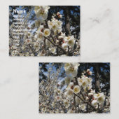 Carte De Visite Fleur de cerisier blanc / Sakura / ク(桜) (Devant / Derrière)