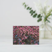 Carte De Visite Fleur de cerisier rose (Debout devant)