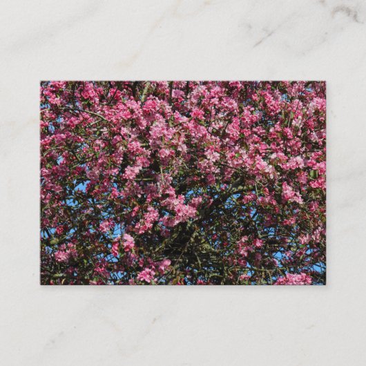 Carte De Visite Fleur de cerisier rose (Devant)