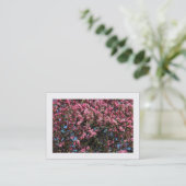Carte De Visite Fleur de cerisier rose (frontière) (Debout devant)