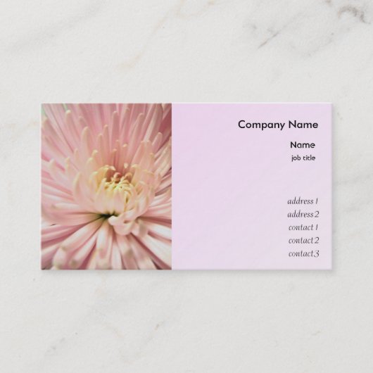 Carte De Visite fleur de chrysanthème rose clair (Devant)