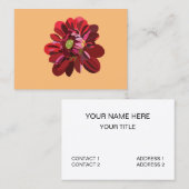 Carte De Visite Fleur de Dahlia Rouge (Devant / Derrière)