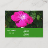 Carte De Visite fleur de jardin rose (Dos)