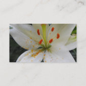 Carte De Visite fleur de lis blanc (Dos)