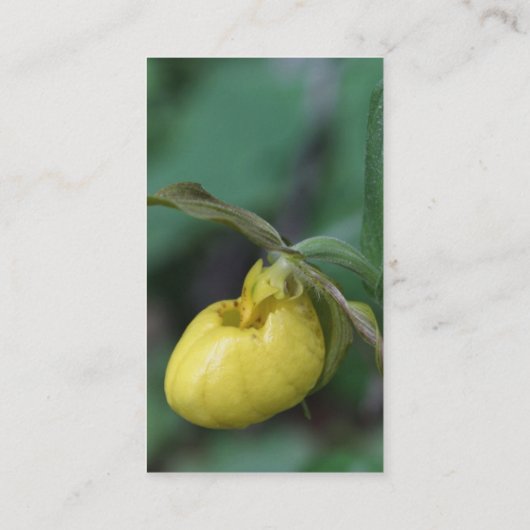 Carte de visite Fleur de l'orchidée jaune (Dos)