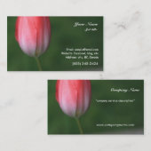 Carte De Visite fleur de tulipe rouge sur fond vert (Devant / Derrière)
