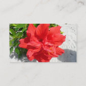 Carte De Visite Fleur double hibiscus rouge (Dos)