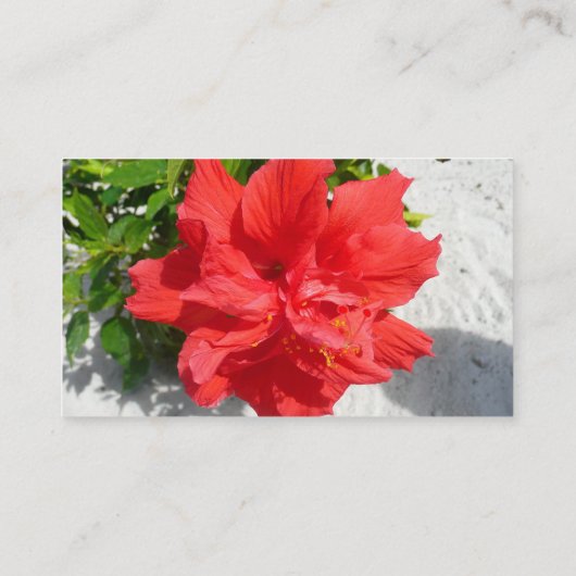 Carte De Visite Fleur double hibiscus rouge (Dos)
