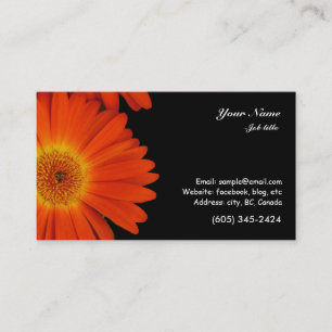 Carte De Visite fleur marguerite gerbéra orange