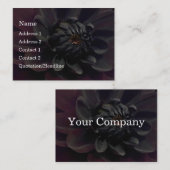 Carte De Visite Fleur noire florale moderne de dahlia (Devant / Derrière)