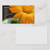 Carte De Visite Fleur orange (Devant / Derrière)