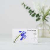 Carte De Visite Fleur pourpre d'iris (Debout devant)