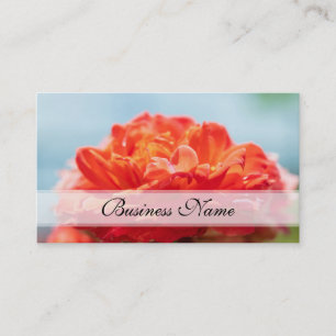 Carte De Visite Fleur rose orange