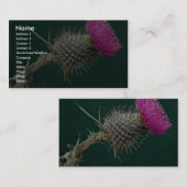 Carte De Visite Fleur rose principale de chardon (Devant / Derrière)