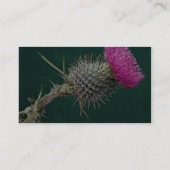 Carte De Visite Fleur rose principale de chardon (Dos)