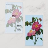 Carte De Visite Fleur rose rose sauvage, Pierre Joseph Redouté (Devant / Derrière)