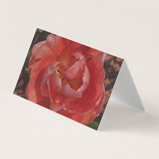 Carte De Visite fleur rouge (Devant)