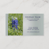Carte de visite Fleur sauvage du Texas Bluebonnet (Devant)