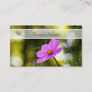 Carte De Visite Fleur sauvage élégant de cosmos de rose de soir