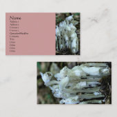 Carte de visite Fleur sauvage White Indian Pipe (Devant / Derrière)