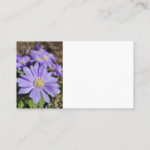 Carte De Visite Fleur violette