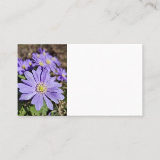 Carte De Visite Fleur violette (Devant)