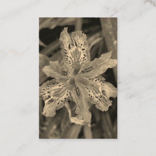 Carte De Visite fleurir en violet (Devant)