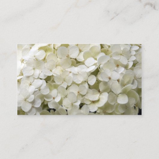 Carte De Visite Fleuriste blanc Hydrangea (Dos)