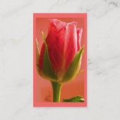 Carte De Visite Fleuriste - Rose rose (Dos)