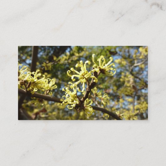 Carte De Visite Fleurs à puces de sorcière (Dos)
