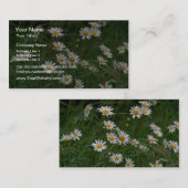 Carte De Visite fleurs blanches de l'Oxeye (Devant / Derrière)