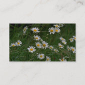 Carte De Visite fleurs blanches de l'Oxeye (Dos)