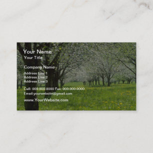 Carte De Visite fleurs blanches de pommiers Au printemps