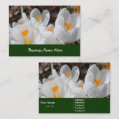 Carte De Visite fleurs blanches de printemps (Devant / Derrière)